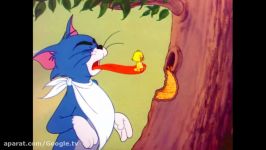 Tom and Jerry  Episode 87  Downhearted Duckling 1953