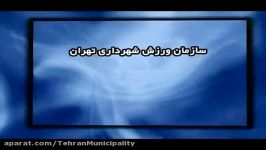 برگزاری هفتمین المپیاد پارالمپیاد ورزشی محلات تهران