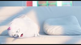 The Secret Life Of Pets  Official Teaser Trailer HD  Illumination