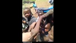 واکنش کودکان سیاه پوست در مقابل یک سفید پوست