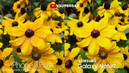 مقایسه دوربین iPhone 7 Plus vs Samsung Galaxy Note 7