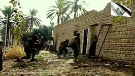 دستگیری چند قلاده داعشی در عملیاتی ویژه در باغهای سامرا