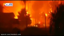 آتش سوزی بسیار گسترده در شیلی؛80هزار هکتار جنگل سوخت
