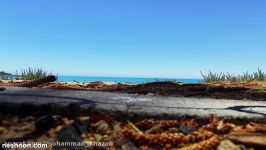 Beautiful beach in Robe South Australia