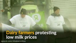 اعتراض دامداران اروپایی شیر خشك