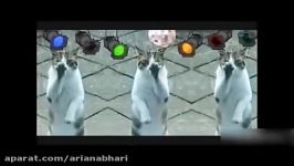 TOP Funny Cat and Dog Dancing and Singing in the World  Mkls