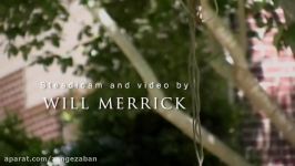 The Merricam  No Cost Steadicam DIY