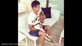 FAMOUS FOOTBALLERS AND THEIR DOGS  FunChannel  HD