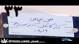 کشته شدن على چراغى به دست ماموران شهردارى