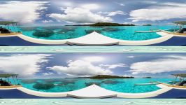 Bora Bora Sharks and Rays in VR 360 Video