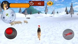 Arctic Shepherd Dog Simulator