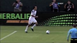 David Beckhams Best MLS Goal