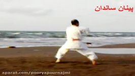 کاتای پینان سانداناکیناوا هانشی علیرضا پورنجمی