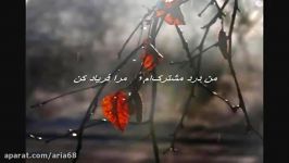 عشق شاملو دکلمه زیبای عشق آریا