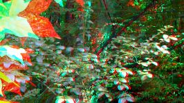 3D Video for RedBlue glasses Anaglyph.