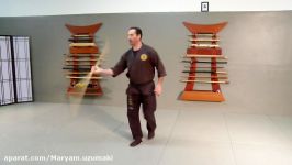 Advanced Ninjutsu Training Bojutsu Rokushaku Bo Six Foot Bo Staff Technique For Bujinkan Ninjutsu