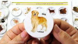 حیوانات آموزشی برای کودکان ، آموزش نام حیوانات به فارسی برای کودکان