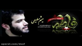 علی تنها شد مداحی حاج میثم مطیعی در شب دوم فاطمیه 95