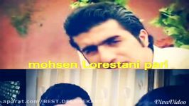 Mohsen Lorestani pari 2015