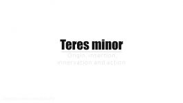 Teres Minor Muscle  Origin Insertion Innervation