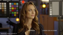 RED Dragon vs Canon C500 Test