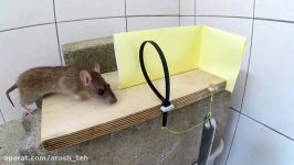 اموزش ساخت تله موش بست جغ جغه ای اعدام شدن موش