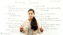 Basic English Lesson Animal IDIOMS in English