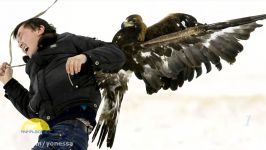 Top 5 Best Eagle Attacks On Human  HD