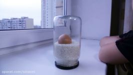 آزمایش علوم فیزیکآزمایش تخم مرغ مرموز