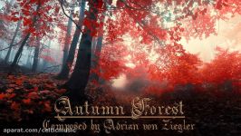 موسیقی سلتیک آرامش بخش  جنگل پاییزی Autumn Forest