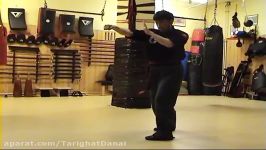 Fist Variation  DAM  Babak Tawassoli