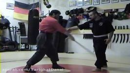 Self Defence no.10  Cane  ASA  Babak Tawassoli