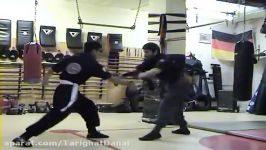Self Defence no.9  against Head attack and more  Babak Tawassoli