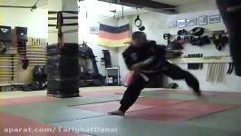 Kick Techniques  Kick Practice  TOA School  Babak Tawassoli