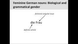 Feminine German nouns 5 Minute German Grammar