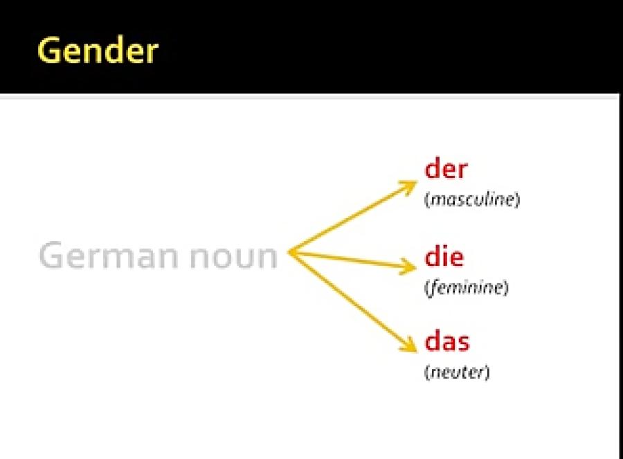 Introduction to German Nouns and Definite Articles