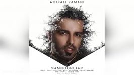 Amirali Zamani – Mamnonetam