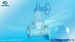 Globe Valve