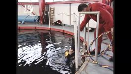 بازرسی غیر مخرب در زیر آب آموزش