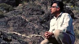 مستند خزندگان ایران  مارهای سمی ایران بخش اول