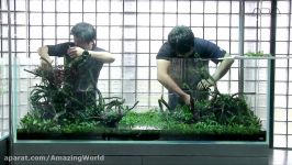 طراحی آکواریوم گیاهی به طول 180cm توسط تیم ADA