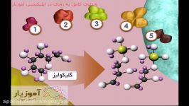 گلیکولیز  بخش اول یک نگاه اجمالی