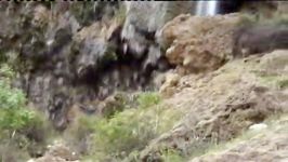 جانباز علی توکلی در آبشار وارگ الیگودرز