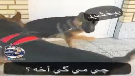 مكالمه جالب تیدا ركس