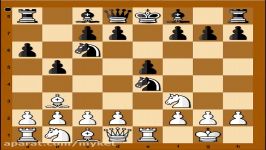 Albert Einstein chess game  Albert Einstein vs Robert