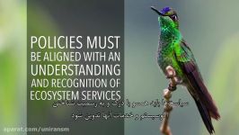 Ecosystem Services and Biodiversity