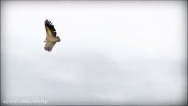 leo rojas  el condor pasa