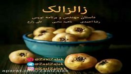 گروه فرهنگی هنری زالزالک ... داستان مهندس برنامه نویس