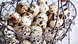 به جای تخم مرغ، تخم بلدرچین مصرف کنید