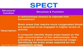 fMRI vs PET vs SPECT  functional neuroimaging